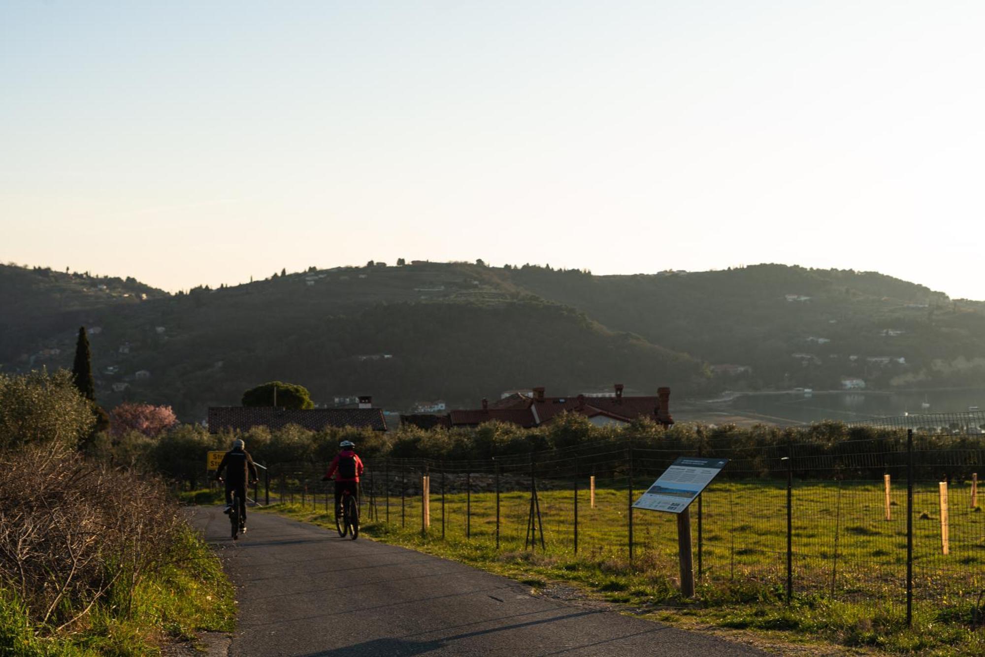 Villa Yadranka With Sea View Strunjan Quarto foto